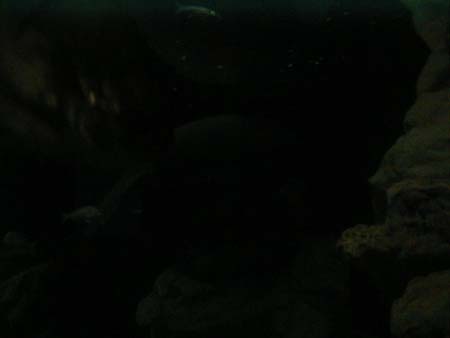 PIC00049