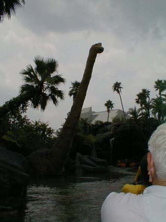PIC00014