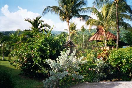 Island
